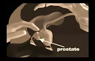 XXX نوجوان اساسنامه عکس های سکس کردن fucks در خالکوبی, گربه بر روی نیمکت خاکستری