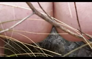 XXX خالکوبی, پرشهای کردن, گل میخ عکس متحرک کیرتوکس و assfucked می شود
